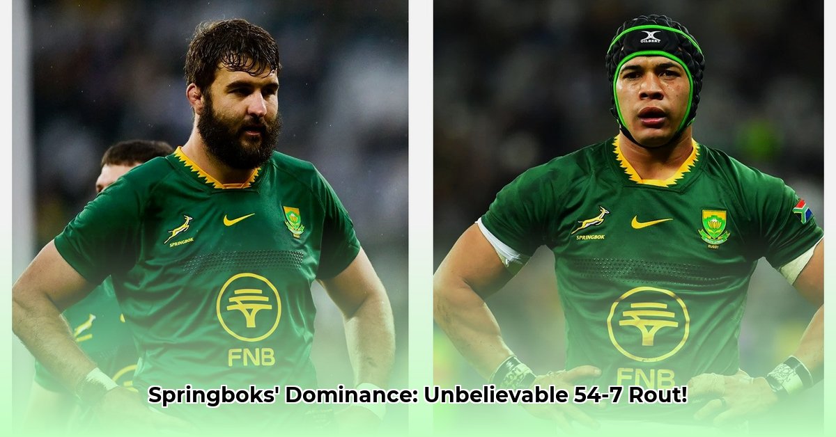 springboks-vs-barbarians-results-today